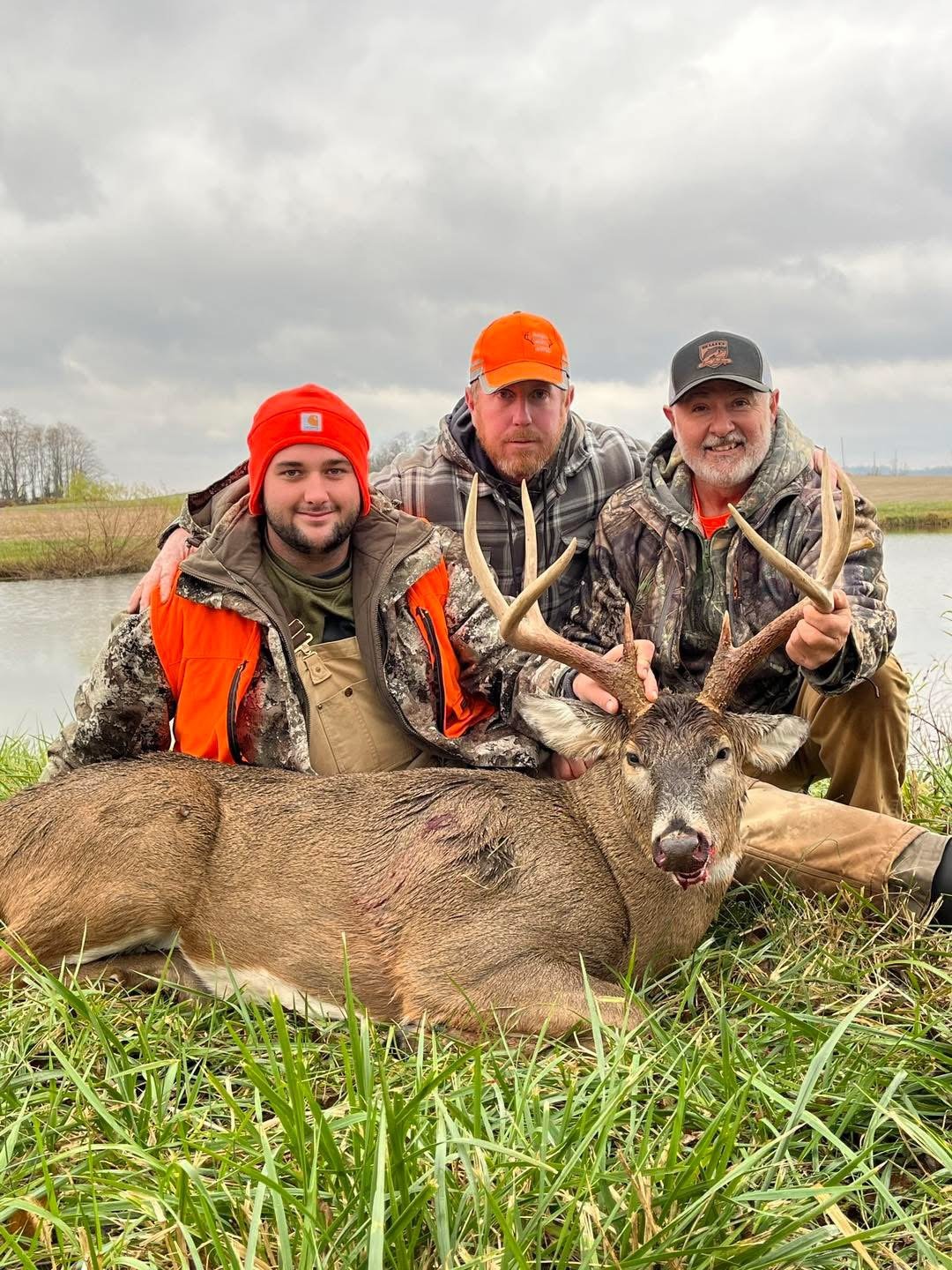 bluegrass whitetail pic