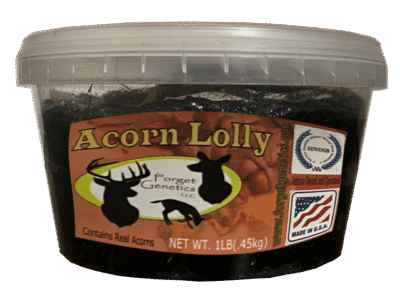 acorn lolly
