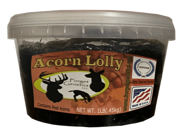 acorn lolly