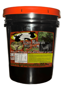 persimmon infused bucket