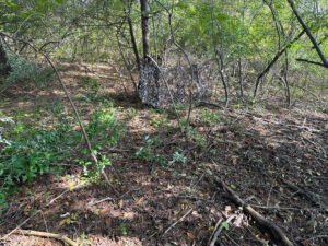 Picture of hunting blind