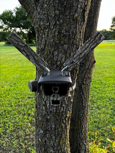 wise eye data cam