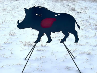 wild boar 4