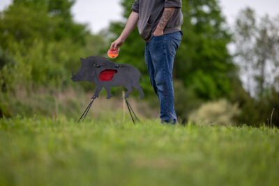 wild boar 3