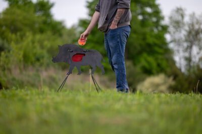 wild boar 1